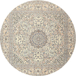Round Traditional Light Gold Medallion Rug, tr2661