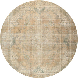 Square Machine Washable Traditional Brown Rug, wshtr2933