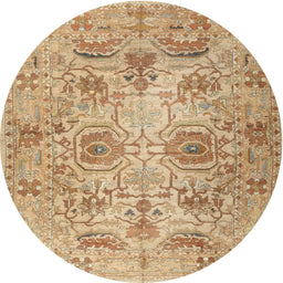 Square Machine Washable Traditional Chocolate Brown Rug, wshtr2946