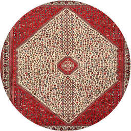 Square Machine Washable Traditional Tomato Red Rug, wshtr3201