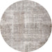 Round Traditional Pale Silver Gray Persian Rug, tr3228