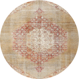 Square Machine Washable Traditional Brown Rug, wshtr3237