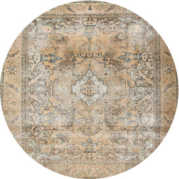 Square Machine Washable Traditional Dark Almond Brown Rug, wshtr3252
