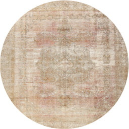 Square Machine Washable Traditional Brown Rug, wshtr3263