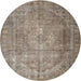 Square Machine Washable Traditional Brown Rug, wshtr3269