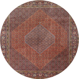 Square Machine Washable Traditional Saffron Red Rug, wshtr3492