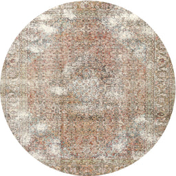 Square Machine Washable Traditional Dark Almond Brown Rug, wshtr3641