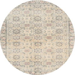 Square Machine Washable Traditional Light French Beige Brown Rug, wshtr3741