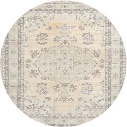 Square Machine Washable Traditional Tan Brown Rug, wshtr3848