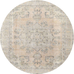 Square Machine Washable Traditional Light French Beige Brown Rug, wshtr3942
