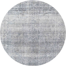 Round Traditional Light Gray Persian Rug, tr4042