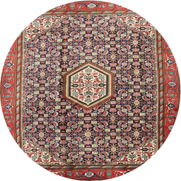 Square Machine Washable Traditional Saffron Red Rug, wshtr421