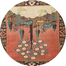 Square Machine Washable Traditional Brown Red Rug, wshtr4243