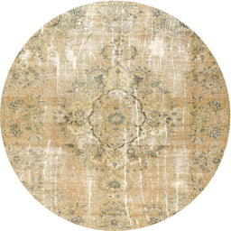 Round Traditional Brown Gold Persian Rug, tr4316