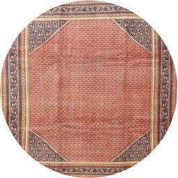 Square Machine Washable Traditional Tangerine Pink Rug, wshtr4491