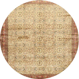 Square Machine Washable Traditional Chocolate Brown Rug, wshtr4642