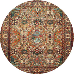 Square Machine Washable Traditional Peru Brown Rug, wshtr501