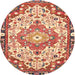 Square Machine Washable Traditional Red Rug, wshtr525