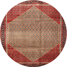 Square Machine Washable Traditional Tomato Red Rug, wshtr790