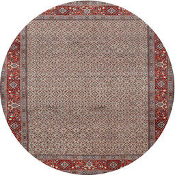 Square Machine Washable Traditional Light French Beige Brown Rug, wshtr960