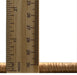 Thickness of Traditional Sand Brown Oriental Rug, tr1449