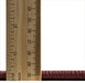 Serging Thickness of Persian Pink Traditional Rug, tr2525pnk