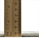 Thickness of Traditional White Gold Medallion Rug, tr363