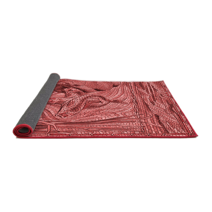 Thickness of Patterned Red Rug, pat1239rd