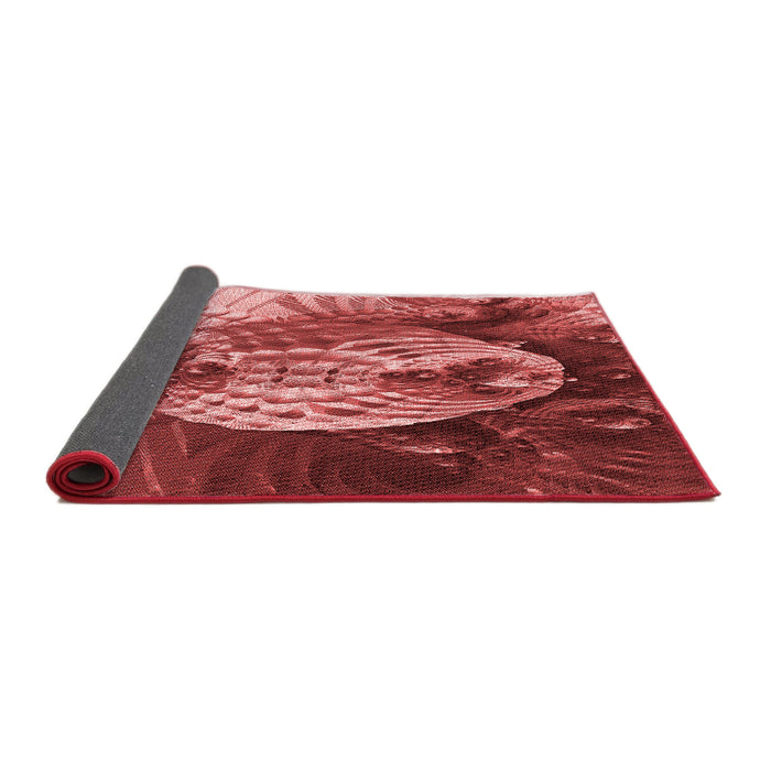 Thickness of Patterned Cranberry Red Rug, pat1354rd