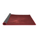 Thickness of Patterned Cranberry Red Rug, pat1364rd