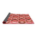 Thickness of Patterned Red Rug, pat1431rd