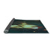 Thickness of Patterned Sea Green Rug, pat154lblu