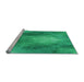 Sideview of Machine Washable Transitional Spring Green Rug, wshpat2152lblu