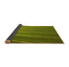 Thickness of Patterned Pistachio Green Rug, pat2231yw