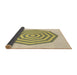 Thickness of Patterned Sun Yellow Rug, pat224brn