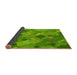 Thickness of Patterned Dark Lime Green Rug, pat2410yw