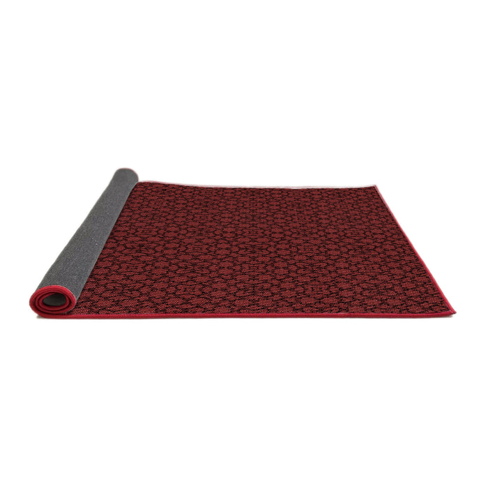 Thickness of Patterned Red Rug, pat2434rd