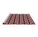 Sideview of Machine Washable Transitional Pink Daisy Pink Rug, wshpat2509rd