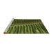 Sideview of Machine Washable Transitional Dark Forest Green Rug, wshpat284brn