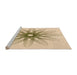 Sideview of Machine Washable Transitional Bronze Brown Rug, wshpat3346org