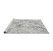 Sideview of Machine Washable Transitional Platinum Gray Rug, wshpat3372gry