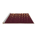 Sideview of Machine Washable Transitional Chestnut Red Rug, wshpat3866org