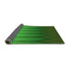 Thickness of Patterned Green Rug, pat3984grn
