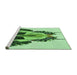 Sideview of Machine Washable Transitional Light Green Rug, wshpat657grn