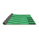 Thickness of Patterned Spring Green Rug, pat850grn