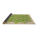 Thickness of Patterned Green Rug, pat853brn