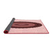 Thickness of Patterned Light Red Pink Rug, pat996rd