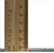 Closeup of  Machine Washable Transitional Grey Gray Rug, wshpat1030